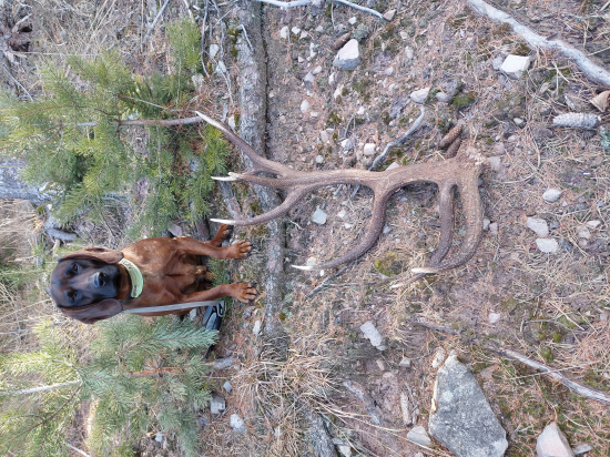 16torák Archívne video