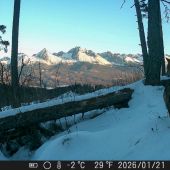 Vlk Dravý a ranné Tatry