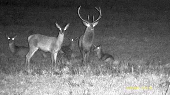 Osmorák s družinou