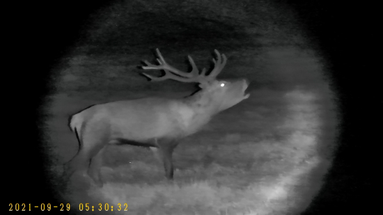 Desatorák na prechádzke po rajóne