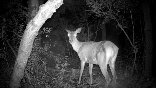 Na chodníku pri rieke