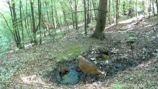 Nový život