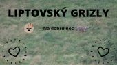 Liptovský grizly