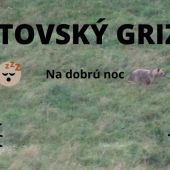 Liptovský grizly
