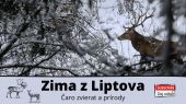 Zima z Liptova