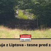 Jelenia ruja - tesne pred začiatkom