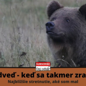 Medveď - keď sa takmer zrazíte / Najbližšie stretnutie, aké som mal