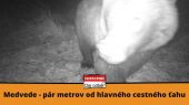 Medvede - pár metrov od hlavného cestného ťahu