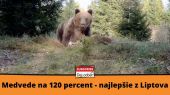 Medvede na 120 percent - najlepšie z Liptova