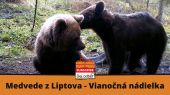 Medvede z Liptova - Vianočná nádielka