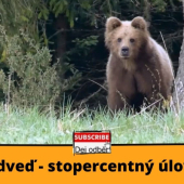 Medveď - stopercentný úlovok