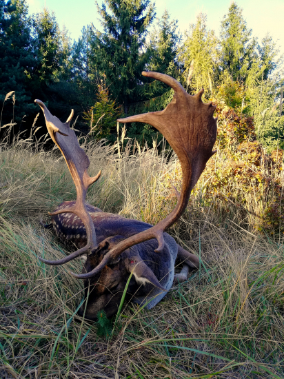 Ulovenie daniela v súboji