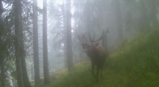 jeseň vysoko v horách