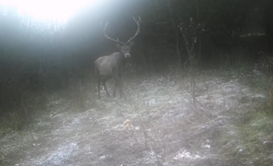 Zima 2020/2021 na fotopasci