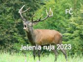 Jelenia ruja 2023