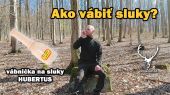 Vábnička Hubertus na sluky