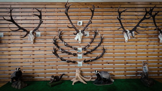 Chovatelska prehliadka 23/24 - OPK Presov