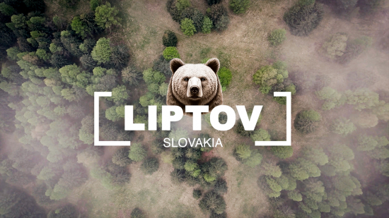 Liptov - Medvede na vecernej pasi