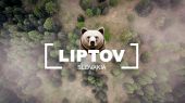 Liptov - Medvede na vecernej pasi
