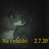Na vnadišti lV