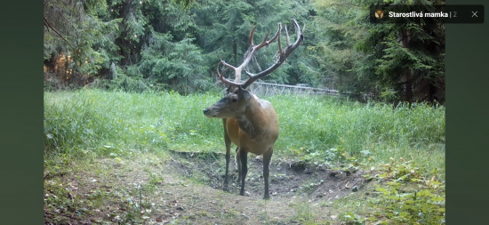 Obdobie vytĺkania a sucha