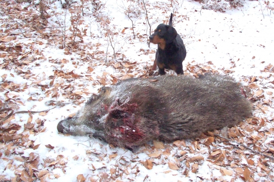 Silvestrovská polovačka r.2007