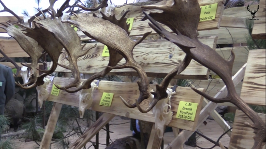 Chovateľská prehliadka OPK Levice 2014/2015