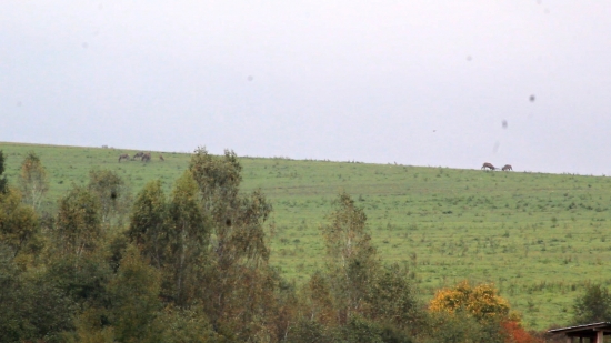 Posledný súboj - 10/19.