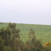 Posledný súboj - 10/19.