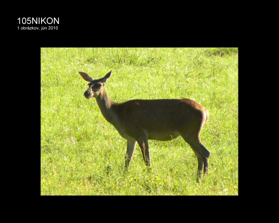 Keť sa toči vietor