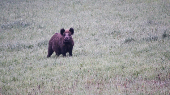 Návrat do bezpečia.