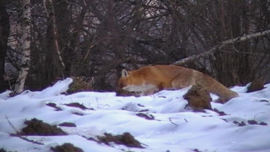 Včera na prechádzke