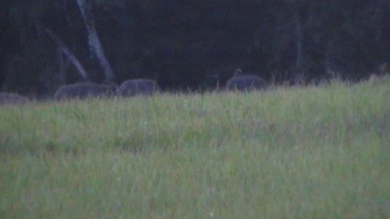 Večerné stretnutie