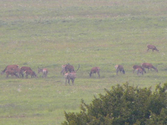 Škoda že tak ďaleko