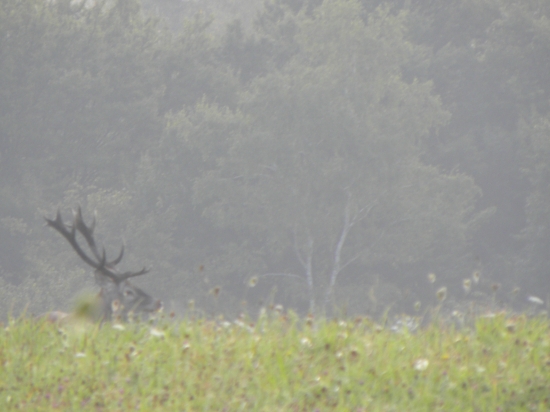 Krásne nedeľné ráno