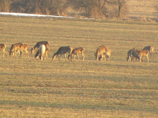 Vysoká na paši pri západe slnka.