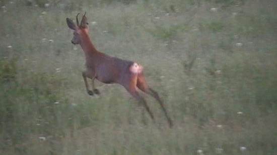 Skúste sa vyjadriť  k ich – VT.