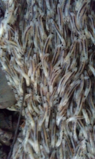 Vie mi to niekto vysvetliť?