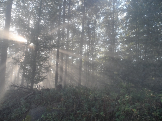 Jeden septembroví deň/13.