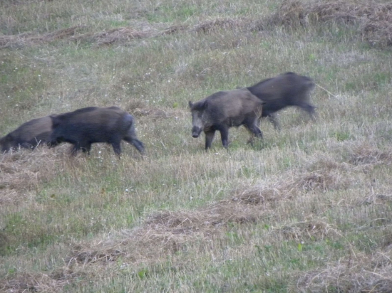 Len sa tak prášilo.
