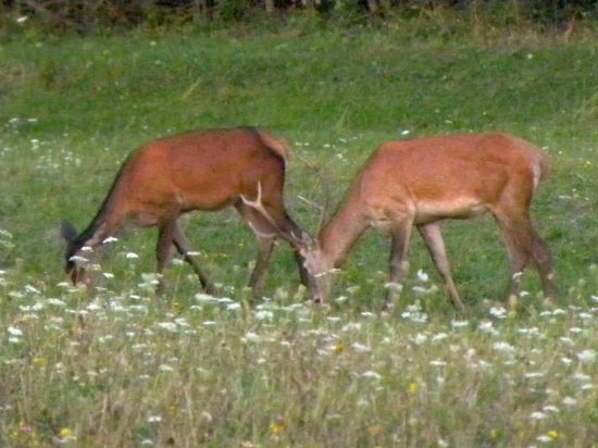 Čo skoro to začne.