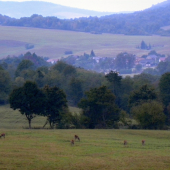 10.09.2015. Ráno.