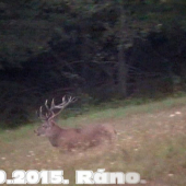 15.09.2015. Ráno.