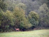 15.09.2015. Podvečer.