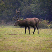 16.09.2015. Ráno.