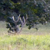 28.09.2015. Podvečer-4.