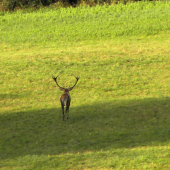 29.09.2015. Ráno.