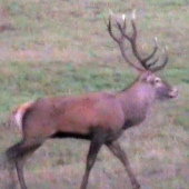 01.10.2015.Podvečer.