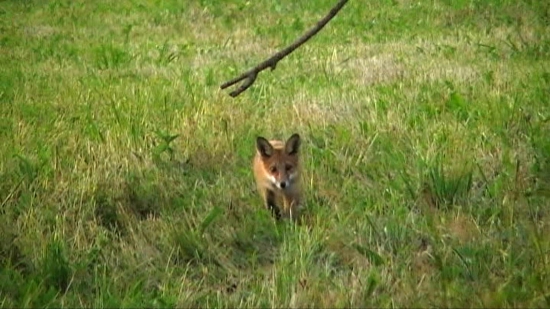 Zlyhal strelec aj kameraman.