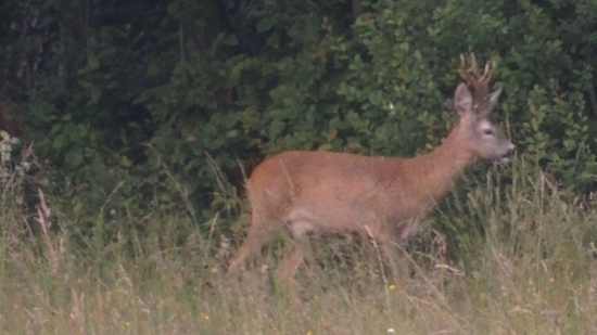 Skúste posúdiť priatelia.